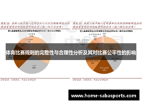 体育比赛规则的完整性与合理性分析及其对比赛公平性的影响